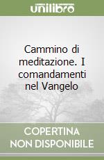 Cammino di meditazione. I comandamenti nel Vangelo libro