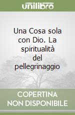 Una Cosa sola con Dio. La spiritualità del pellegrinaggio libro