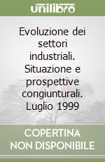 Evoluzione dei settori industriali. Situazione e prospettive congiunturali. Luglio 1999 libro