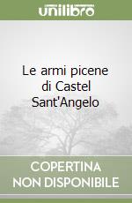 Le armi picene di Castel Sant'Angelo