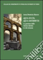 Aqua ducta, aqua distributa. La gestione delle risorse idriche in età romana