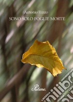 Sono solo foglie morte libro