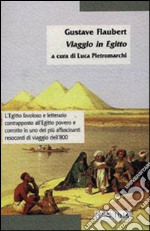 Viaggio in Egitto libro