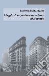 Viaggio di un professore tedesco all'Eldorado. Ediz. italiana e tedesca libro