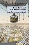 In pallone sopra Parigi libro