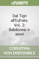 Dal Tigri all'Eufrate. Vol. 2: Babilonesi e assiri libro