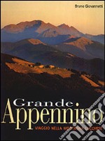 Grande Appennino. Viaggio nella montagna lucchese libro