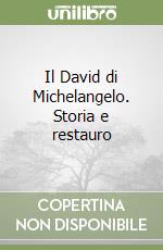 Il David di Michelangelo. Storia e restauro libro