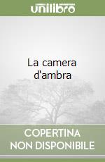 La camera d'ambra libro