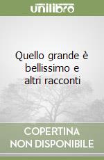 Quello grande è bellissimo e altri racconti