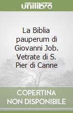 La Biblia pauperum di Giovanni Job. Vetrate di S. Pier di Canne libro