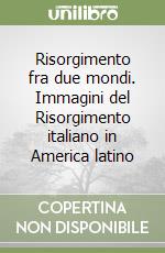 Risorgimento fra due mondi. Immagini del Risorgimento italiano in America latino libro