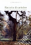 Raccolta di cartoline. Alla scoperta del paesaggio dei beni culturali del Polesine libro