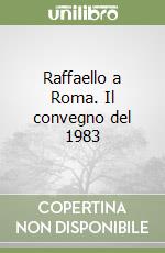 Raffaello a Roma. Il convegno del 1983 libro