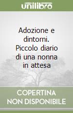 Adozione e dintorni. Piccolo diario di una nonna in attesa libro