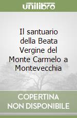 Il santuario della Beata Vergine del Monte Carmelo a Montevecchia libro