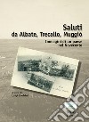 Saluti da Albate, Trecallo Muggiò. Immagini di un paese nel Novecento. Ediz. illustrata libro di Zanfrini L. (cur.)