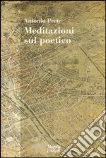 Meditazioni sul poetico libro