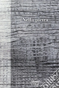 Nella pietra libro