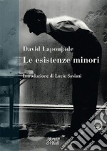 Le esistenze minori libro