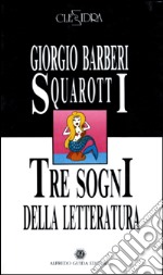 Tre sogni nella letteratura-Una stagione fiamminga libro