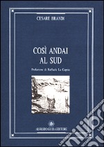 Così andai al Sud libro