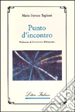 Punto d'incontro libro