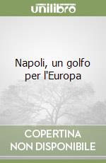 Napoli, un golfo per l'Europa libro