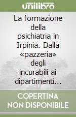 La formazione della psichiatria in Irpinia. Dalla «pazzeria» degli incurabili ai dipartimenti di salute mentale libro