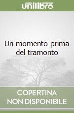 Un momento prima del tramonto libro