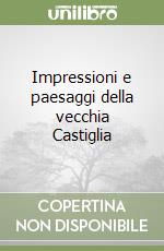 Impressioni e paesaggi della vecchia Castiglia libro