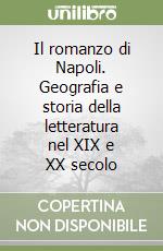 Il romanzo di Napoli. Geografia e storia della letteratura nel XIX e XX secolo libro