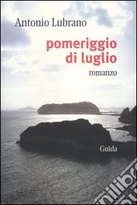 Pomeriggio di luglio libro