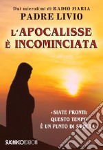 L'apocalisse è incominciata. «Siate pronti: questo tempo è un punto di svolta» libro