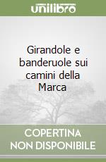 Girandole e banderuole sui camini della Marca libro