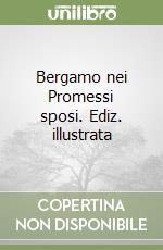 Bergamo nei Promessi sposi. Ediz. illustrata libro