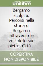 Bergamo scolpita. Percorsi nella storia di Bergamo attraverso le voci delle sue pietre. Città Alta e colli