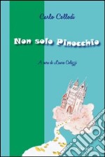 Non solo Pinocchio libro