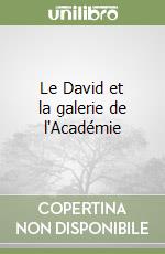 Le David et la galerie de l'Académie libro