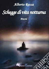 Schegge di vita notturna libro