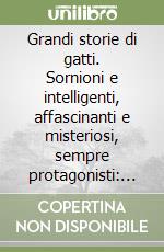 Grandi storie di gatti. Sornioni e intelligenti, affascinanti e misteriosi, sempre protagonisti: i gatti libro