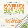 Avversità delle piante coltivate. Diagnosi, prevenzione e difesa. Pesco albicocco ciliegio susino. Con app libro