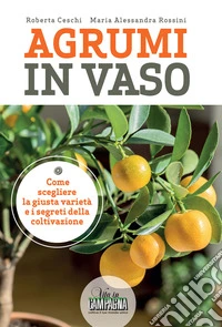Agrumi in vaso