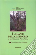 I «giganti della memoria» di San Giorgio di Pietra Kappa