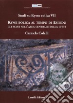 Studi su Kyme Eolica VII. Kyme Eolica al Tempo di Esiodo. Gli scavi nell'area centrale della città