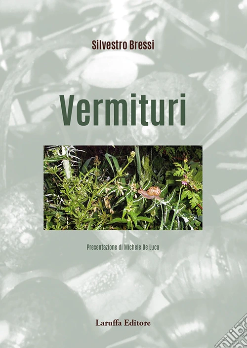 Vermituri