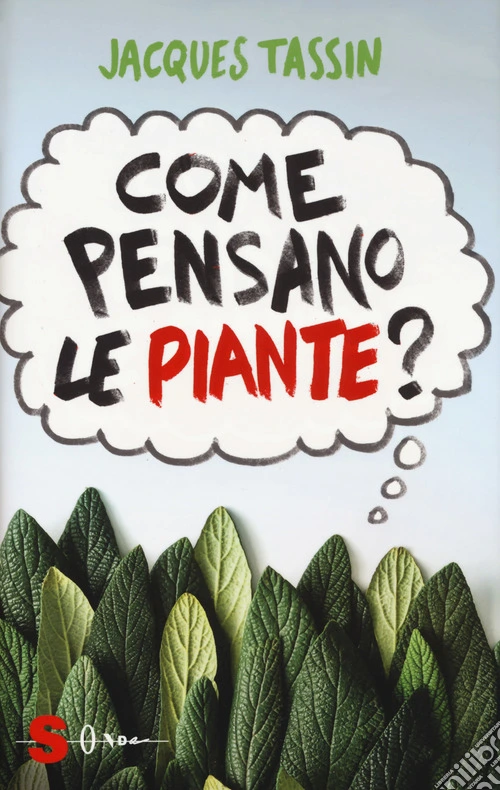 Come pensano le piante?