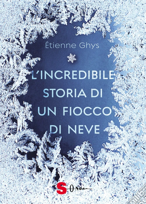 L'incredibile storia di un fiocco di neve. Ediz. a colori
