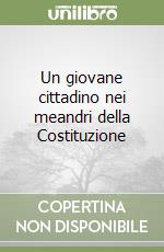 Un giovane cittadino nei meandri della Costituzione