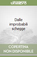 Dalle improbabili schegge libro